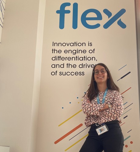 stage lavoro Flex